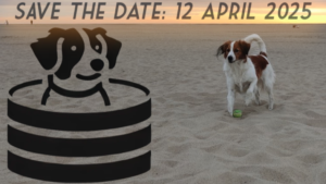 SeaQL Saturday 2025
