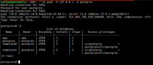 Postgres on Kubernetes with CloudNativePG - output