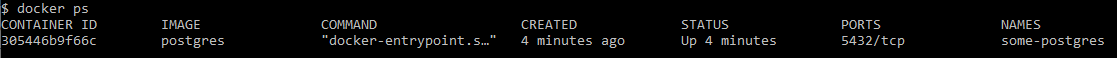 screenshot after the command docker ps
