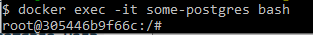 screenshot after the command docker exec