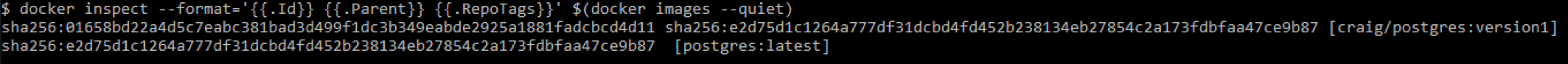 docker inspect